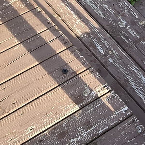 Coco's Home Improvement