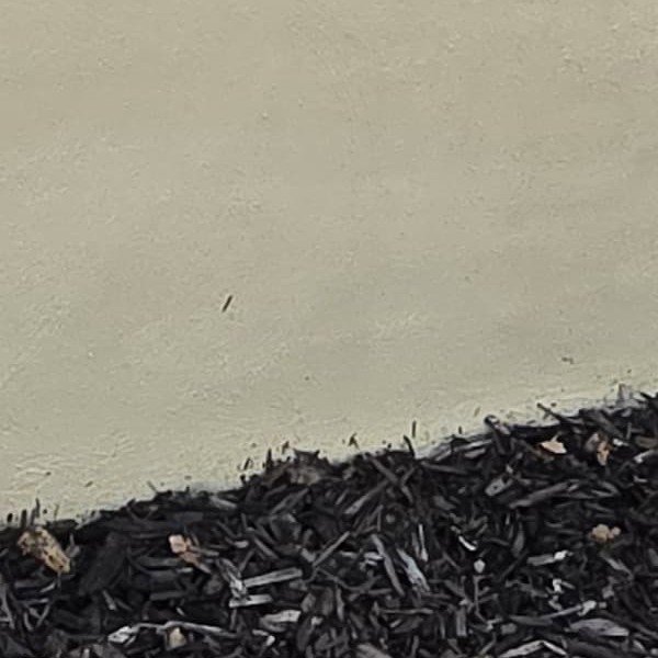 Coco's Home Improvement