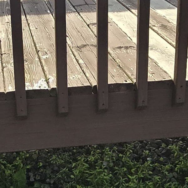 Coco's Home Improvement